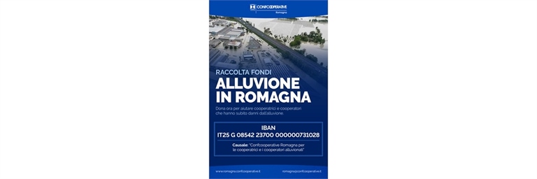 Raccolta fondi per l'alluvione in Romagna